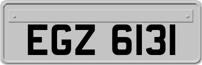 EGZ6131