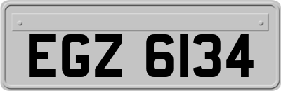 EGZ6134