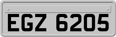 EGZ6205