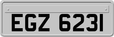 EGZ6231