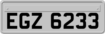 EGZ6233