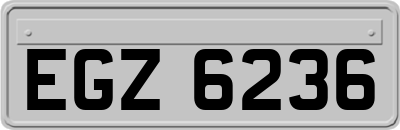 EGZ6236