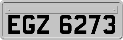 EGZ6273