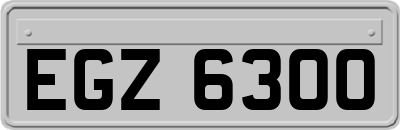 EGZ6300