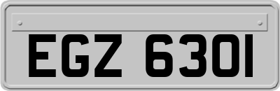 EGZ6301