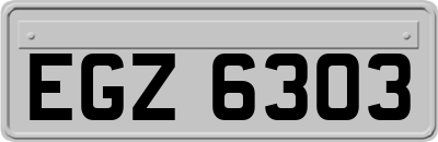 EGZ6303