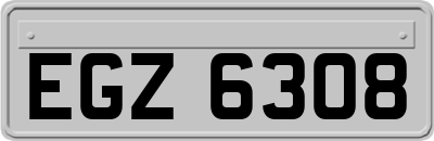 EGZ6308