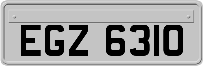 EGZ6310