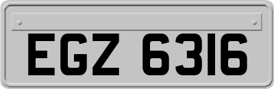 EGZ6316