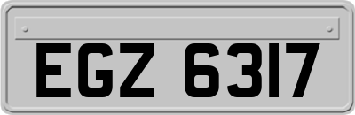 EGZ6317