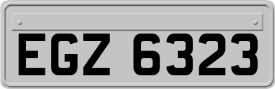 EGZ6323