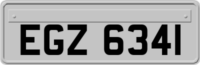 EGZ6341