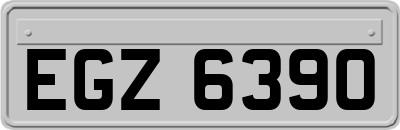 EGZ6390