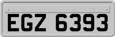 EGZ6393