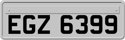 EGZ6399