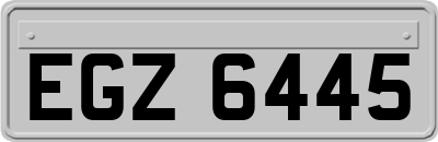 EGZ6445