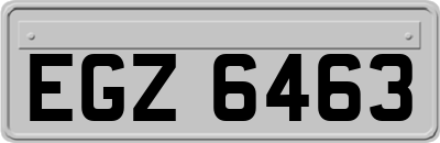 EGZ6463