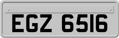 EGZ6516