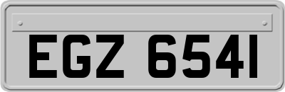 EGZ6541