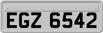 EGZ6542