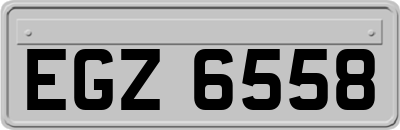 EGZ6558