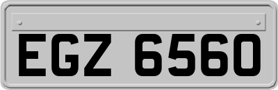 EGZ6560