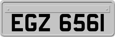 EGZ6561