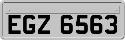 EGZ6563