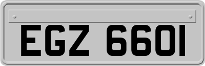 EGZ6601