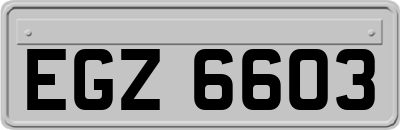 EGZ6603