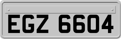 EGZ6604