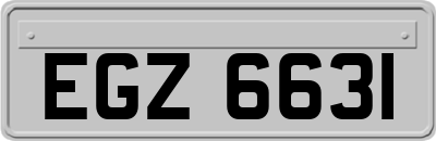 EGZ6631