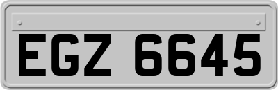 EGZ6645