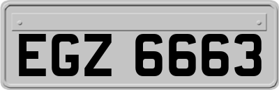 EGZ6663