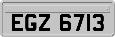 EGZ6713