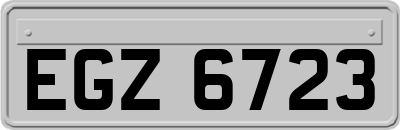 EGZ6723