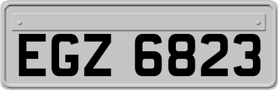 EGZ6823