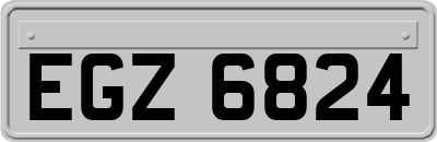 EGZ6824