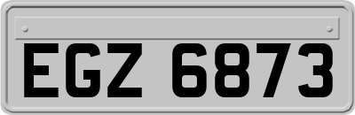 EGZ6873