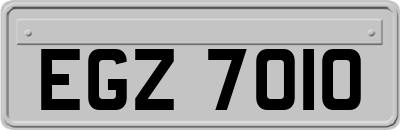 EGZ7010