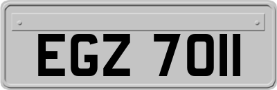 EGZ7011