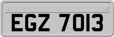 EGZ7013