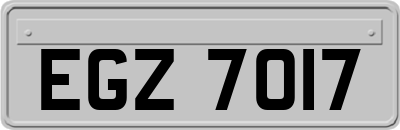 EGZ7017