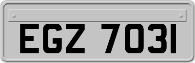 EGZ7031