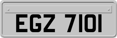 EGZ7101
