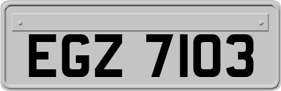 EGZ7103