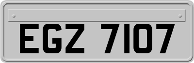 EGZ7107
