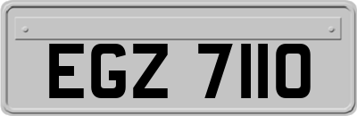 EGZ7110