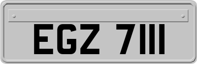 EGZ7111