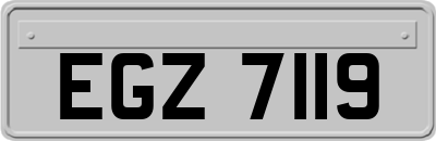 EGZ7119